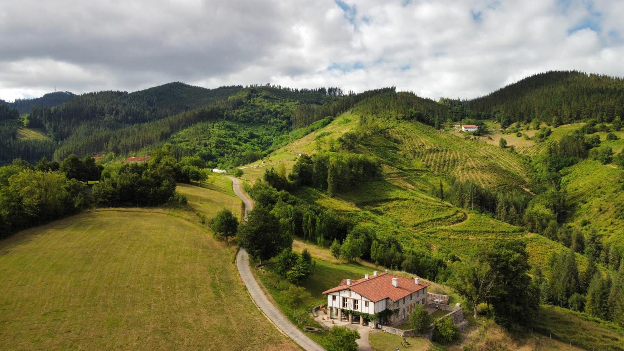 Izal Landetxea Guest House Bergara Exterior photo